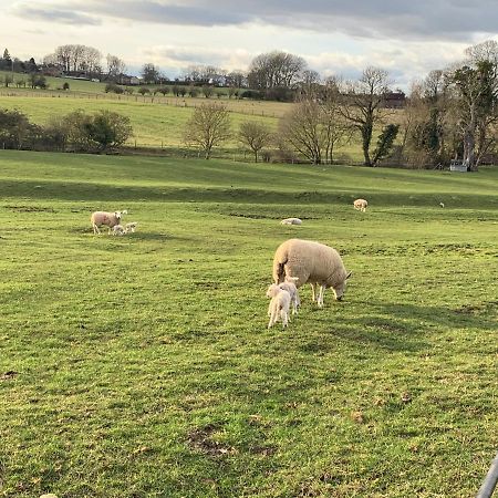 Weatherhead Farm Shepherds Hut Villa Buckingham Esterno foto