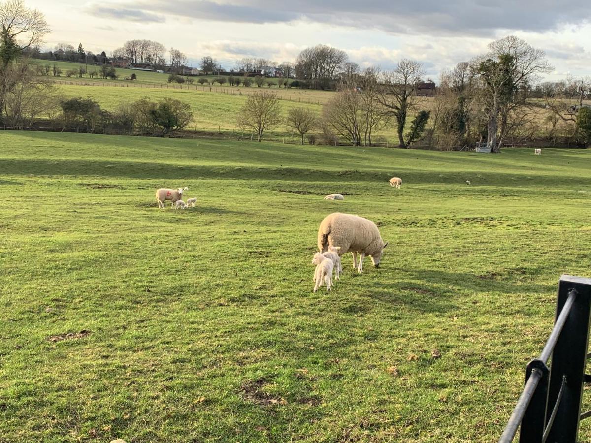 Weatherhead Farm Shepherds Hut Villa Buckingham Esterno foto