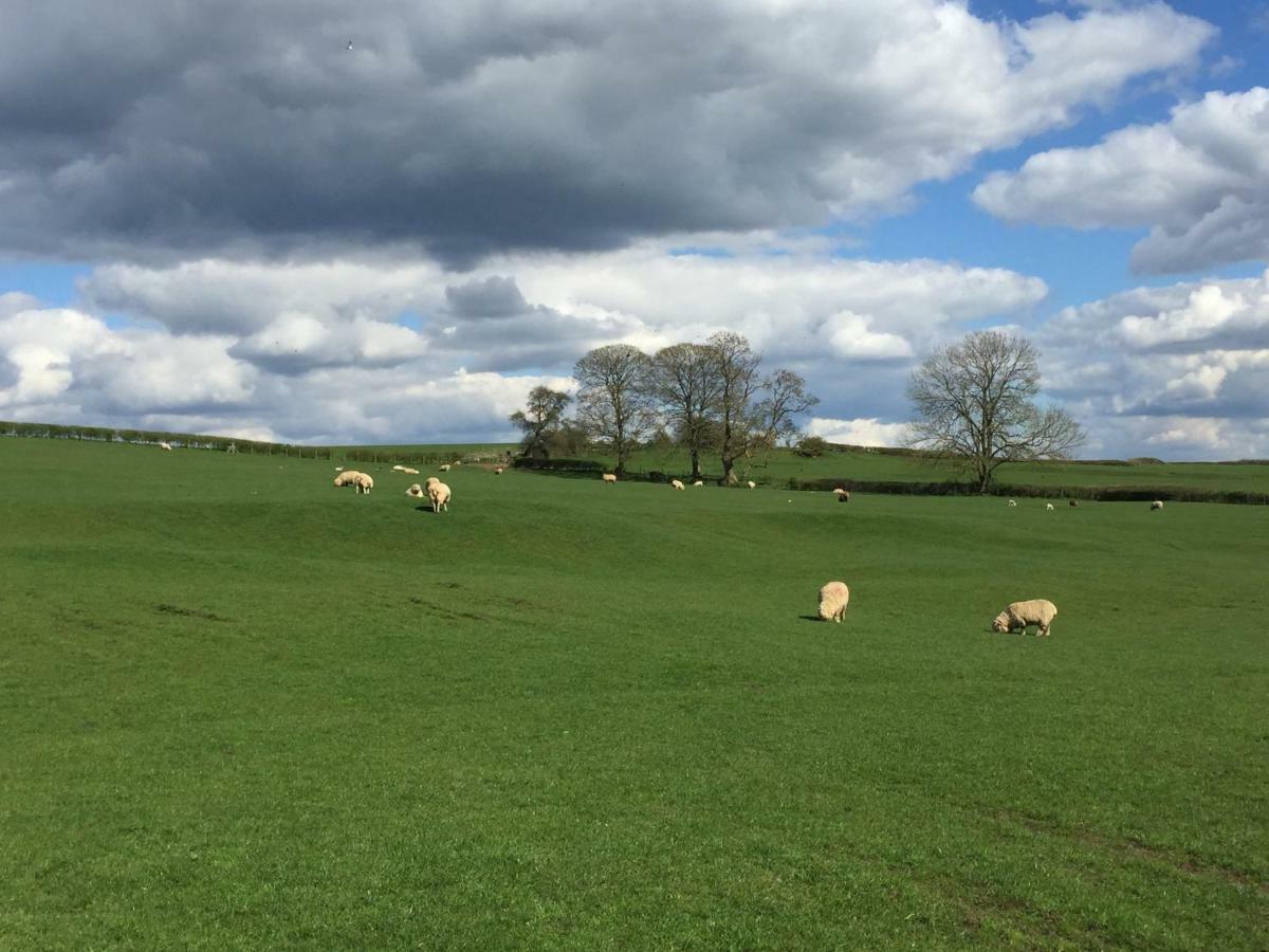 Weatherhead Farm Shepherds Hut Villa Buckingham Esterno foto